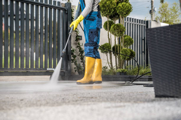 Best Soft Washing for Delicate Surfaces in Windom, MN